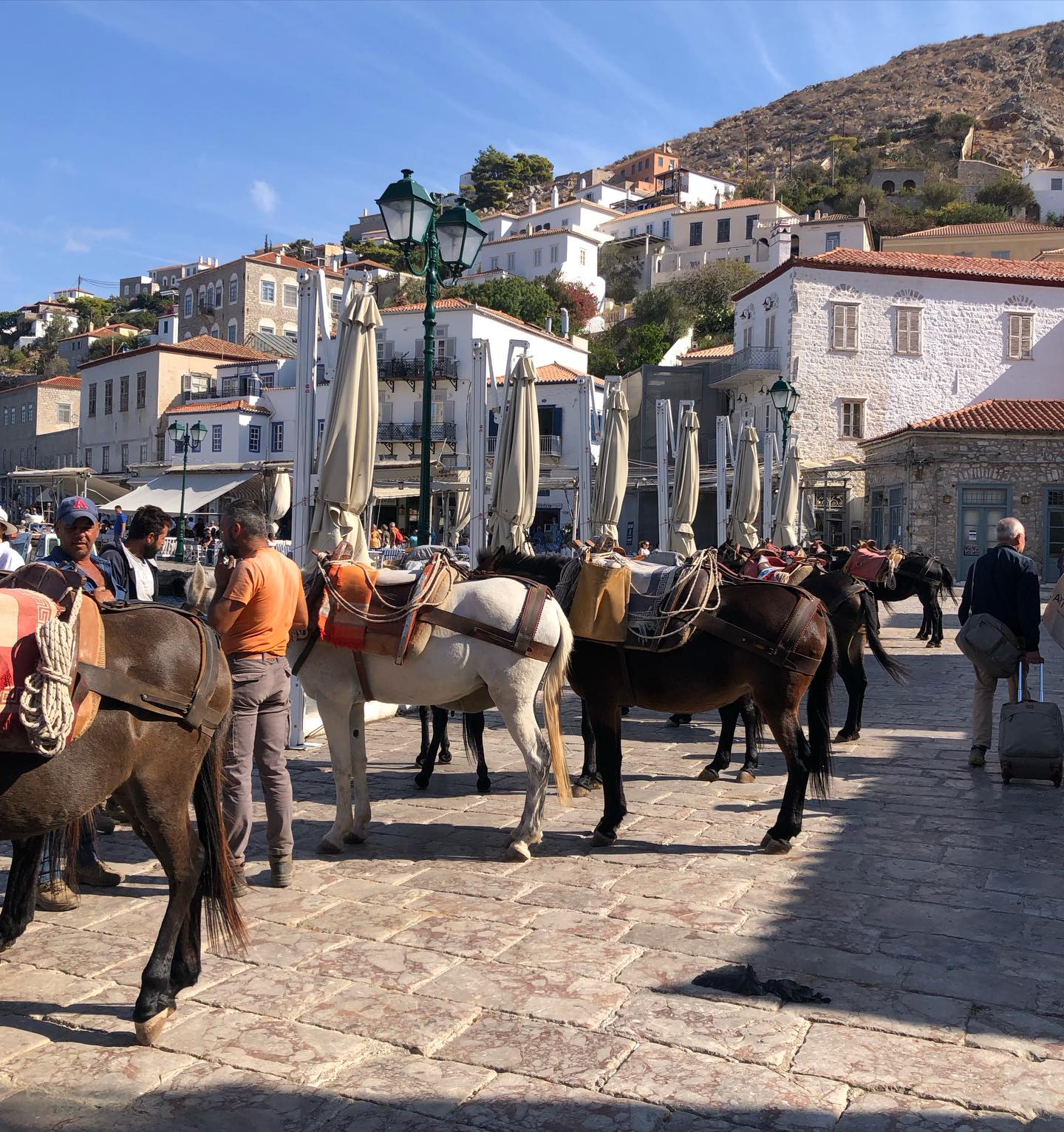 Some scenes on the island never change, and that’s the magic of Hydra 🫏🐴 

#tradition #throwback #hydraport #mirandahydra