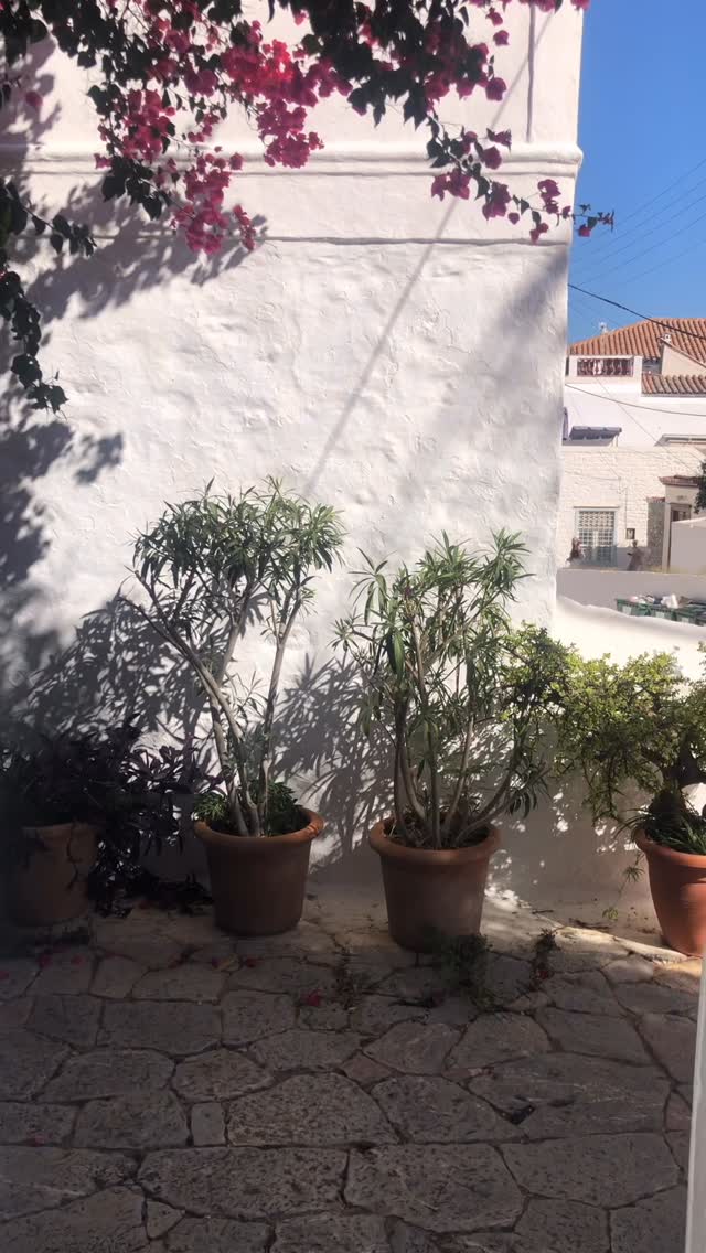 The soft movement of the air, the gentle colours of the plants, a yard that welcomes you without asking and lingers in your thoughts after you step outside. 

#yard #islandmagic #mirandahydra #hydraisland