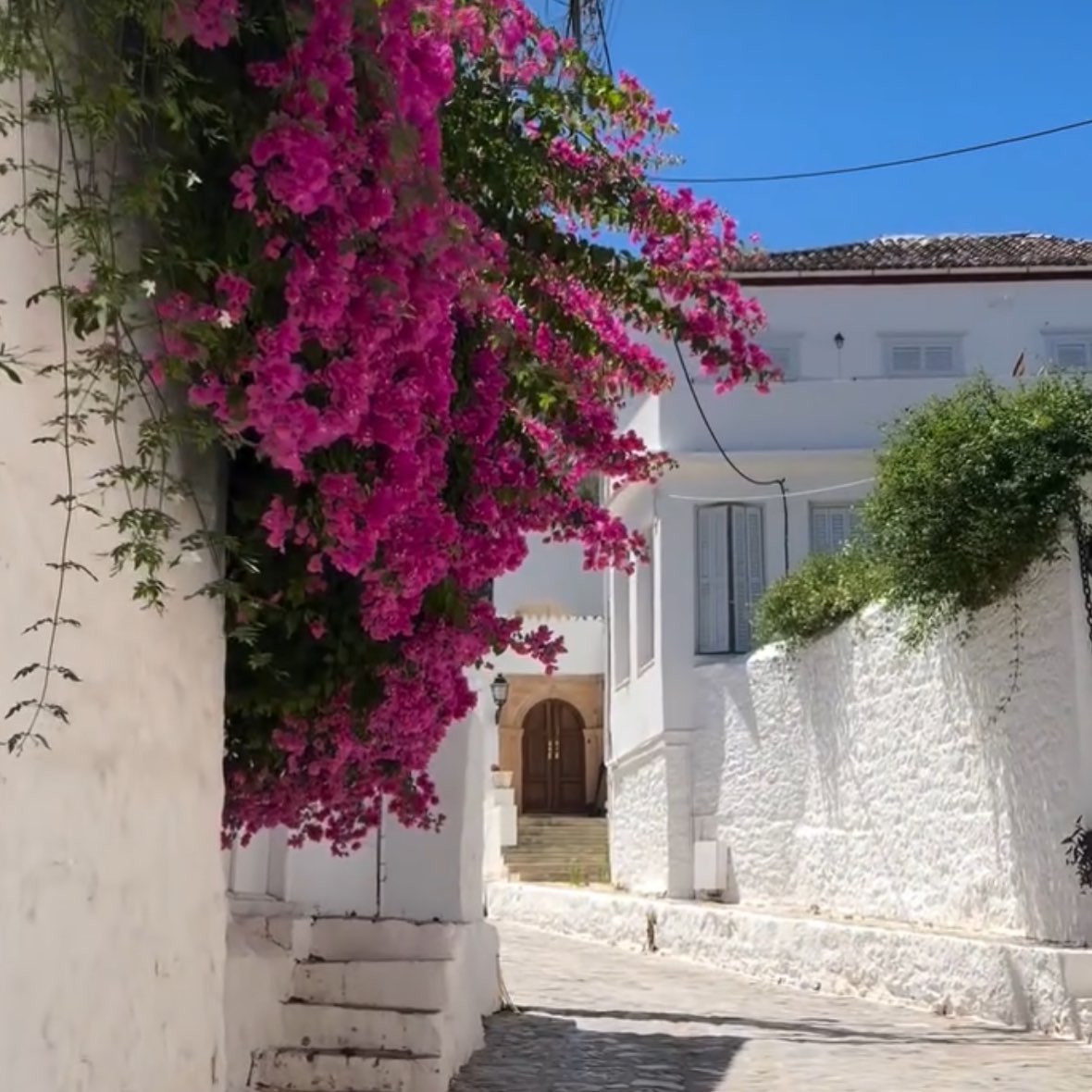 Hydra Sunday vibes 💜 

#islandlife #bougainvillea🌸 #mirandahydra #hydra