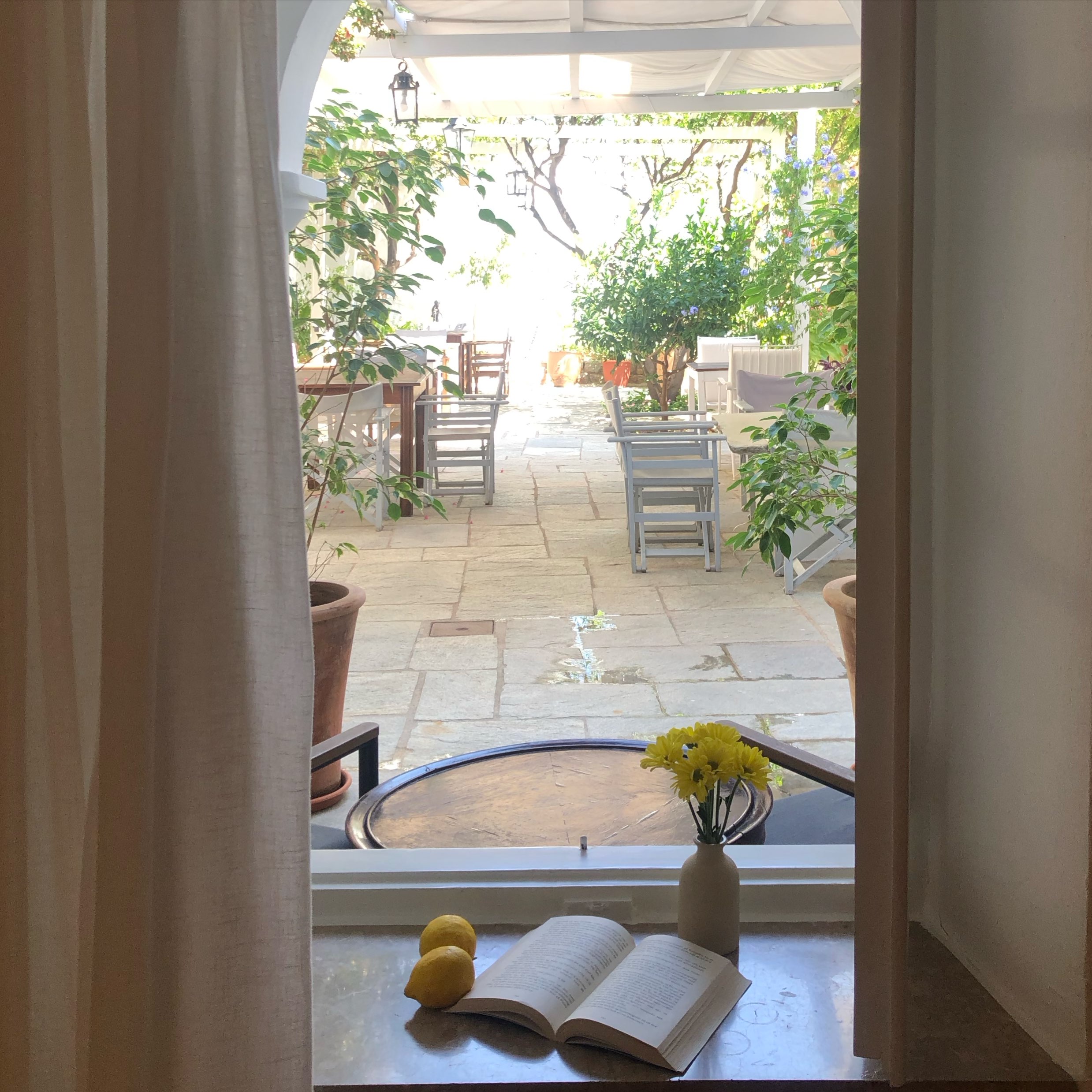 Looking out from your room, the garden at Miranda Hotel offers a quiet pause.. a moment to slow down, breathe in the fragrance of Hydra, and let the island’s timeless charm settle in. 🌿🌸 

#gardenview #islandlife #mirandahydra