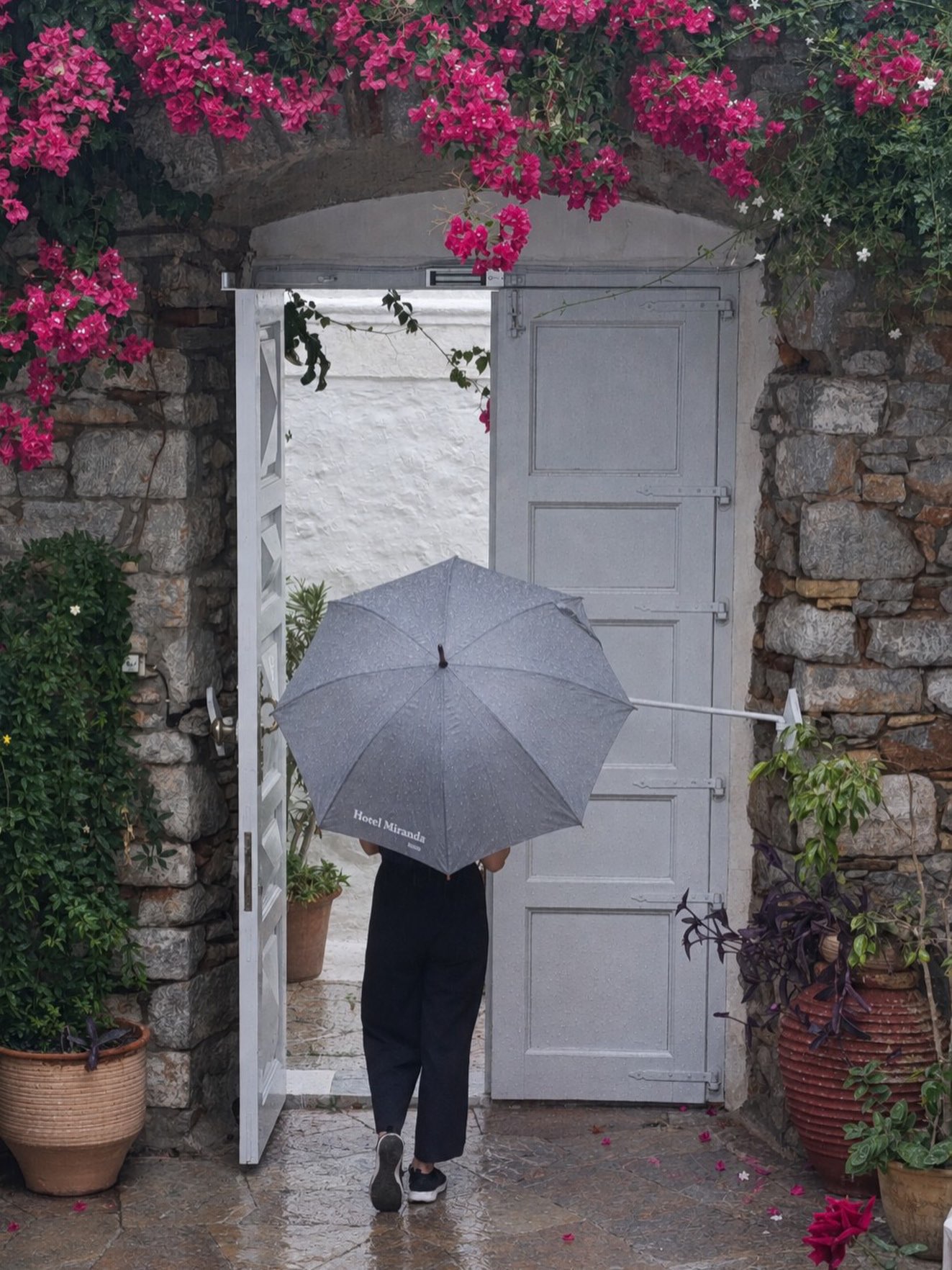 Beautiful, romantic rainy day 🌂🌧️ 
(click @ladakij ) 

#octobervibes  #yard #mirandahydra