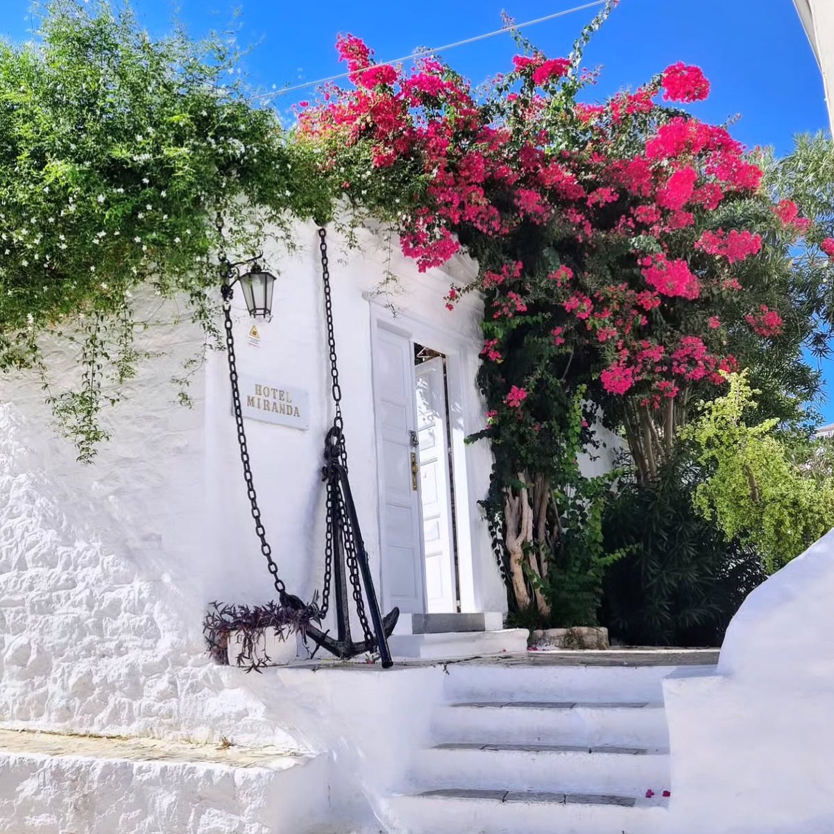September is here.. the island remains vibrant and colourful 🍃🌺 
Let’s have a great month on the island 

#september #mirandahydra #islandlife