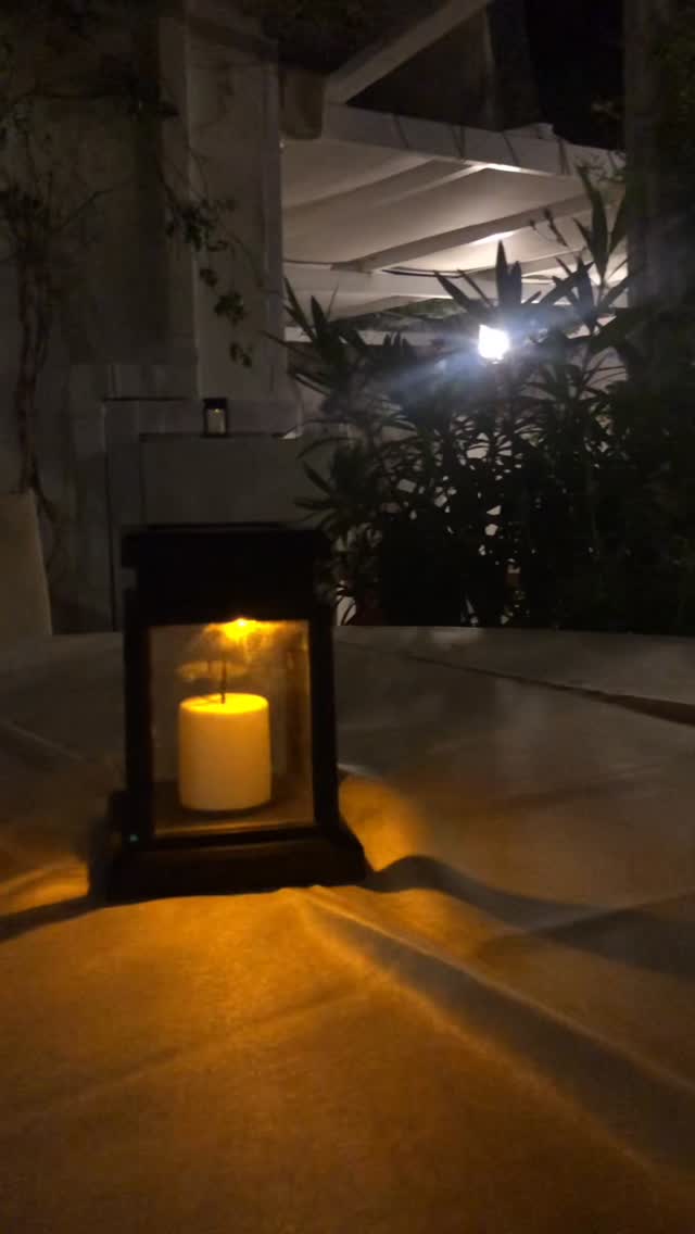 When the night falls, at our yard ✨🌓🕯️ 

#mirandahydra #yard #eveningvibes #october