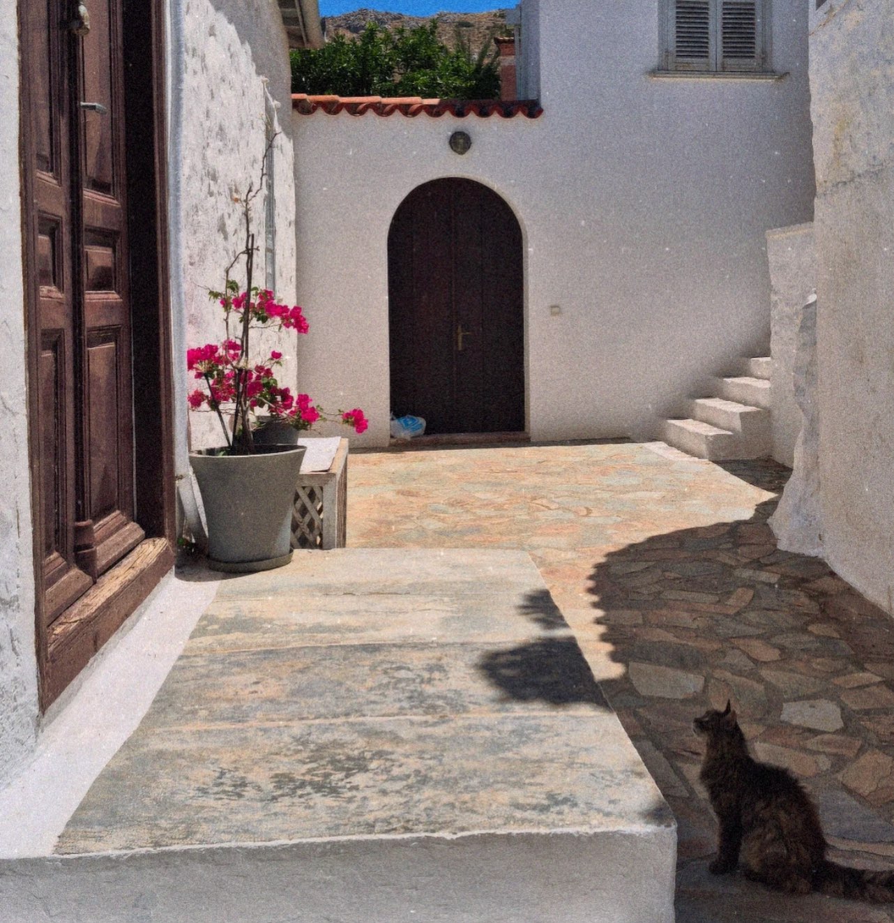 Wandering around the narrow streets of Hydra can be truly fascinating.. Every turn reveals details of the island history.. 

#hydraisland #slowliving #hydravibes #mirandahydra