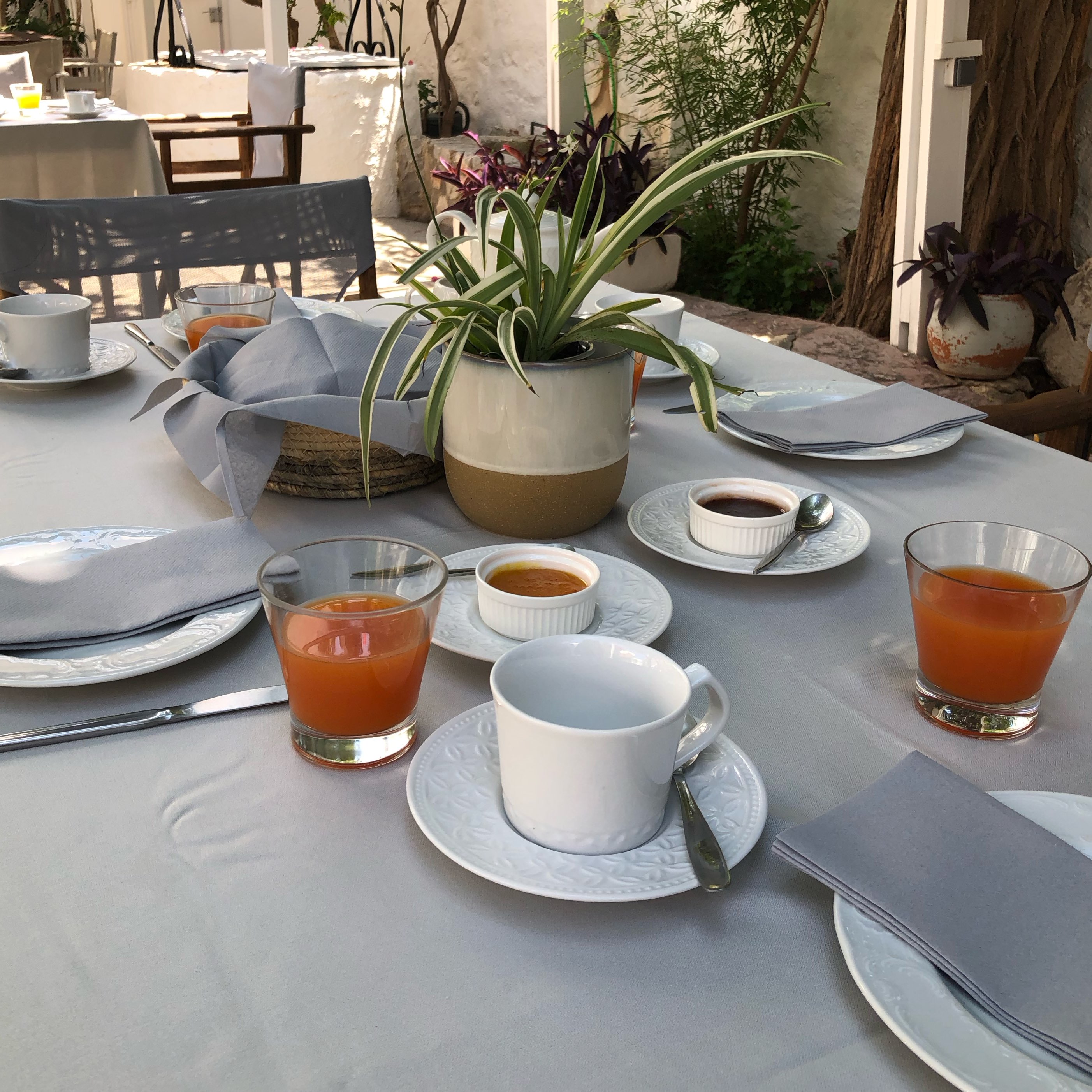 Start your day in our peaceful courtyard. 
Enjoy your coffee ☕️ and moments of serenity 🍃

#breakfast #yard #greenyard #idlandlife #mirandahotel