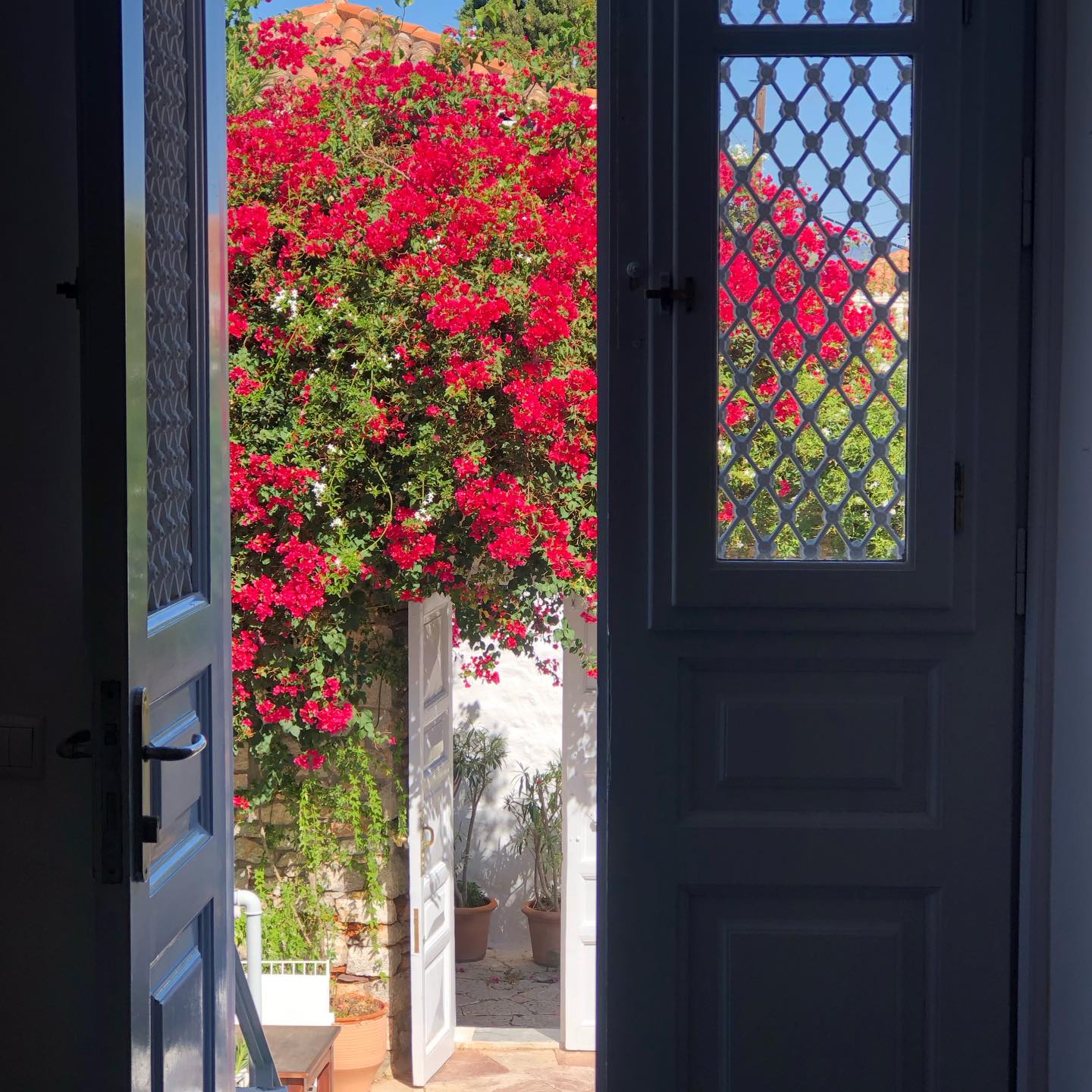 At Miranda, arrival is not just a check in: it’s the beginning of an experience filled with island charm, vibrant colours and authentic hospitality. Like a scene from a summer dream! 

#seeyousoon #season2026 #islandlife #mirandahydra #hydra