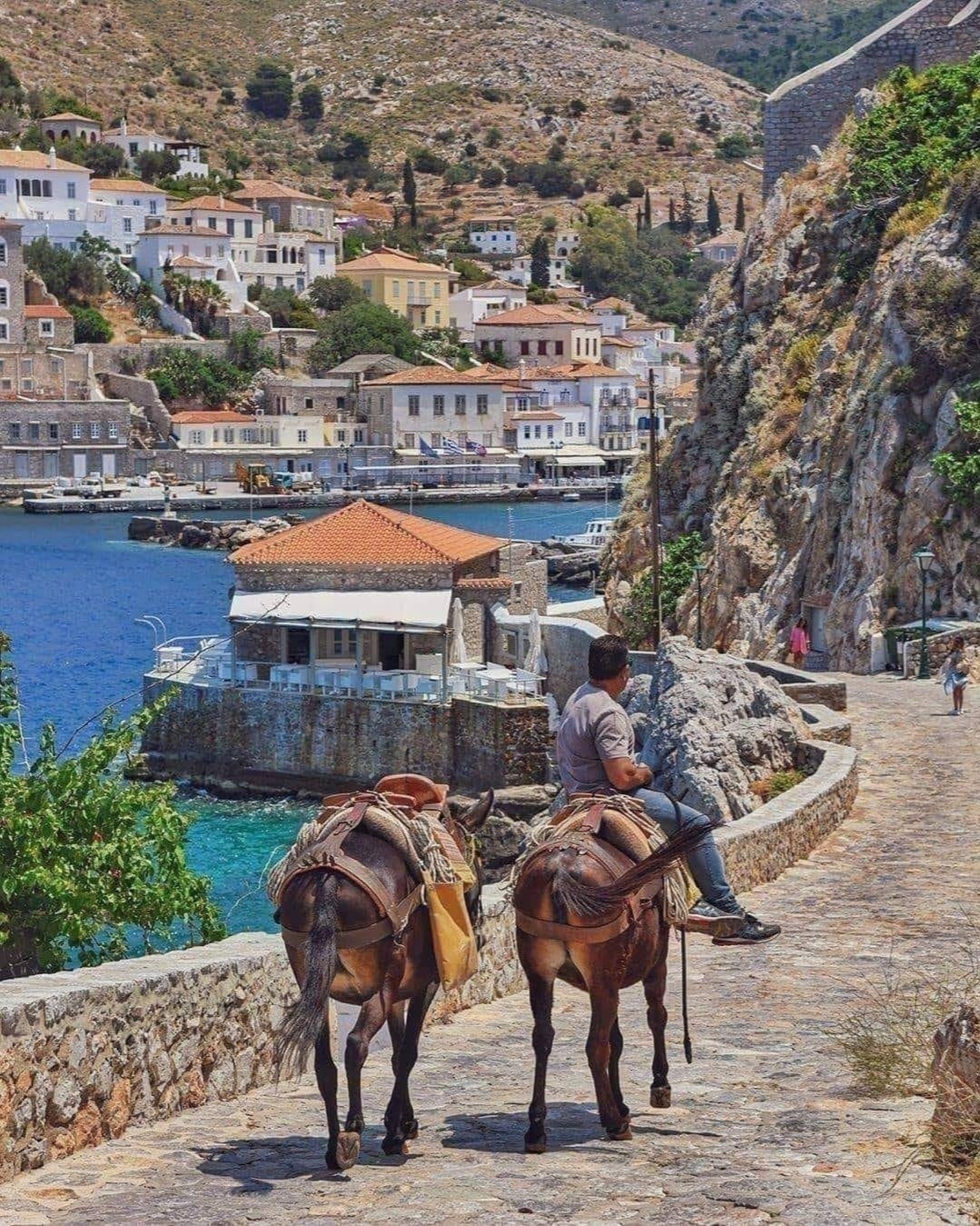 Here, time slows down… and the island’s gentle donkeys 🫏 become part of the story. A reminder of the traditions that shaped this land. The sound of their steps on the cobblestones and through the narrow alleys of the island brings back another era. 

#charm #islandlife #hydra #mirandahydra